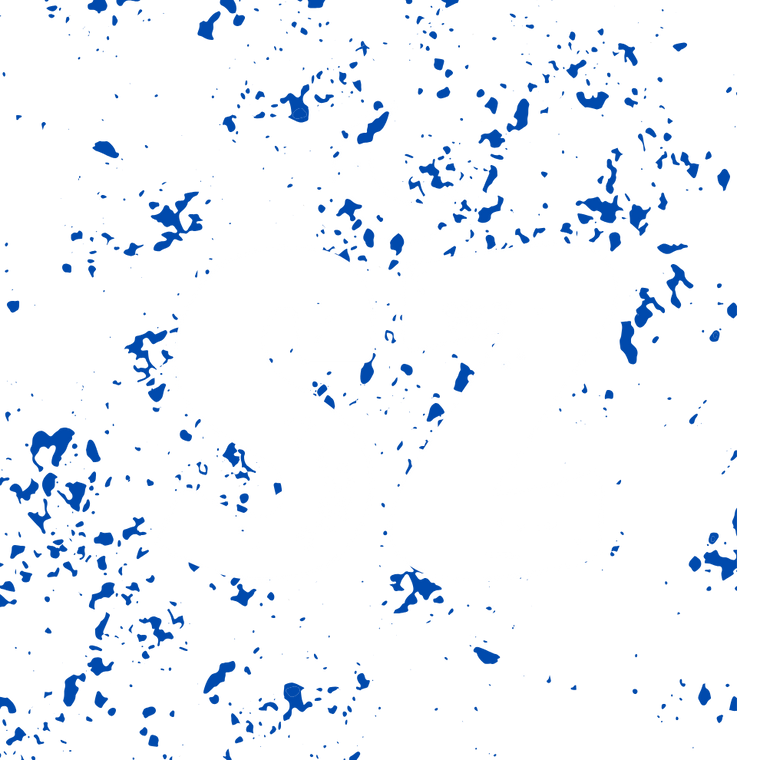 logo somnizen 